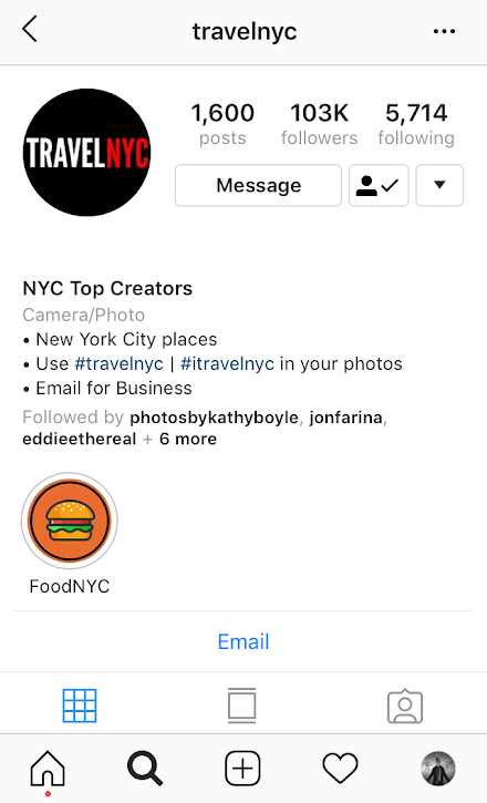 TravelNYC Instagram Growth